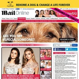 Integrated Campaign For Dogs Trust #specialsomeone cover image