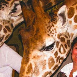 Brand Identity Refresh For Tripadvisor cover image