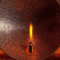 Product Design For An Algae Bio-fuel Lamp cover image