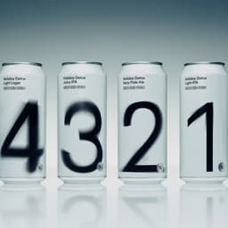 Packaging Design For A Transitional Beer Series cover image