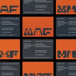 Brand Identity And Web Design For Gruppo Maf cover image