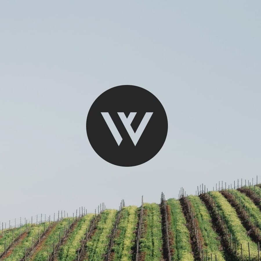 Brand Identity for Weinfreunde Wine Marketplace