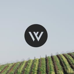 Brand Identity for Weinfreunde Wine Marketplace - thumbnail 1