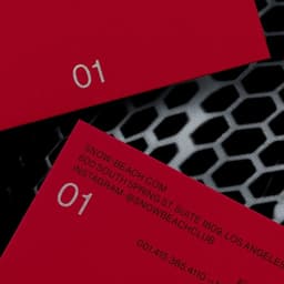 A Project For Snow Beach cover image