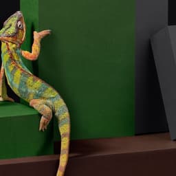 Packaging Design For Göteborgstryckeriet Rigid Boxes cover image