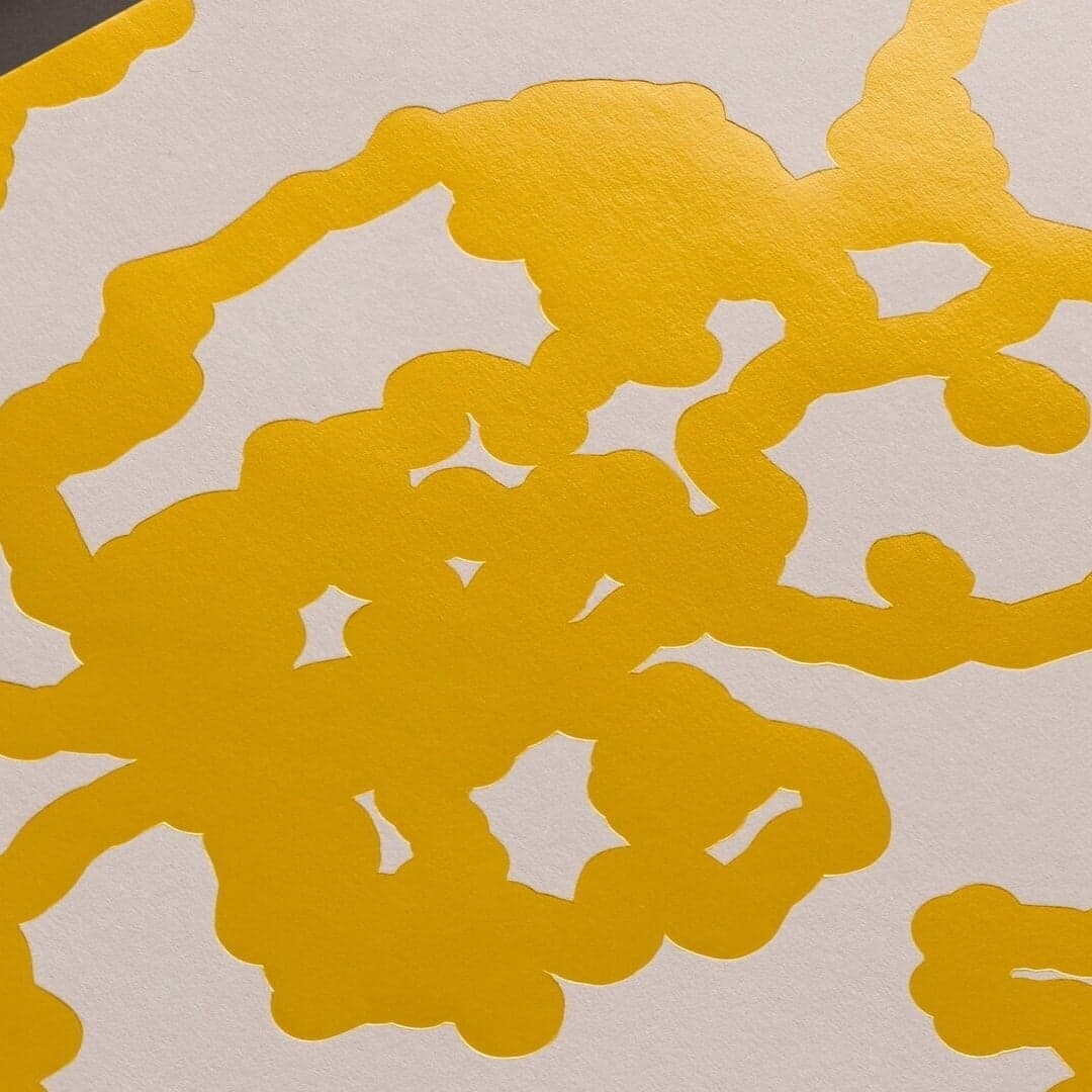 Visual Identity For Multiplicity Copenhagen