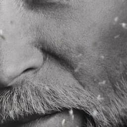 Book Launch Installation For Lars Wallin cover image