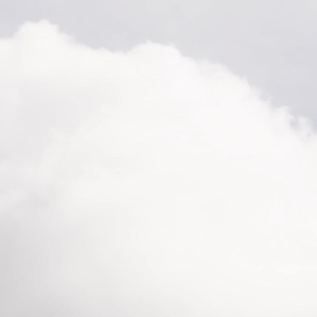 Exhibition Design For Too Late For History To End