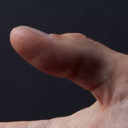 Exhibition Design For Two-faced By Brad Downey & Igor Ponosov cover image