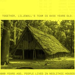 Website Design For Liljewall cover image