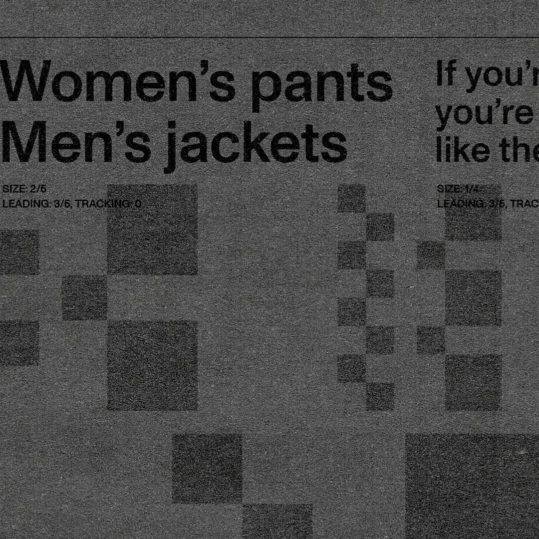 Brand Identity For Elvine