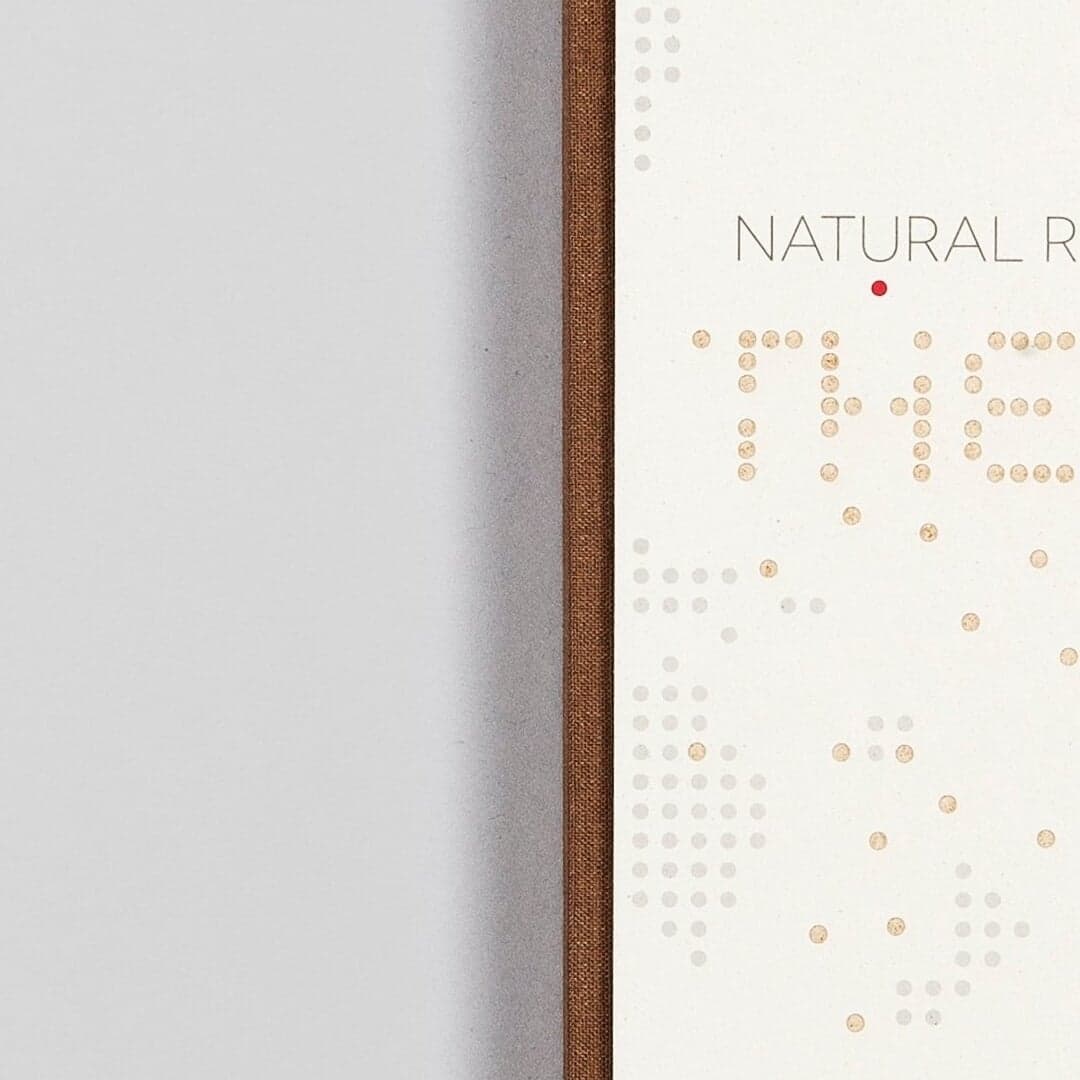 Editorial Design For Natural Recall Book