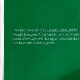 Promotional Poster Design For Fs Emeric Typeface cover image