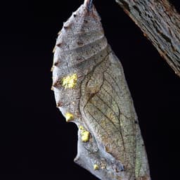 Experimental Architectural System For Air Company cover image