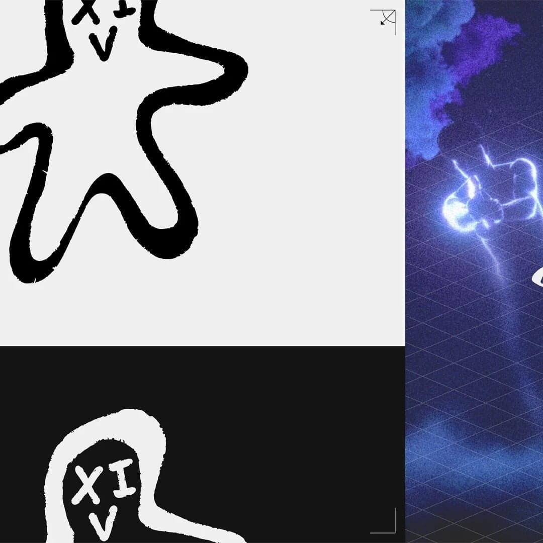 Brand Identity For Project Xiv