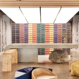 Campaign Film For Allbirds Sustainable Running Shoe cover image