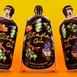 Brand Identity For Staple Gin cover image