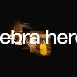 Website Redesign For Creative Agency Zebra Hero cover image