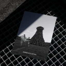 Brand Identity And Portfolio Website For A Street Photographer cover image