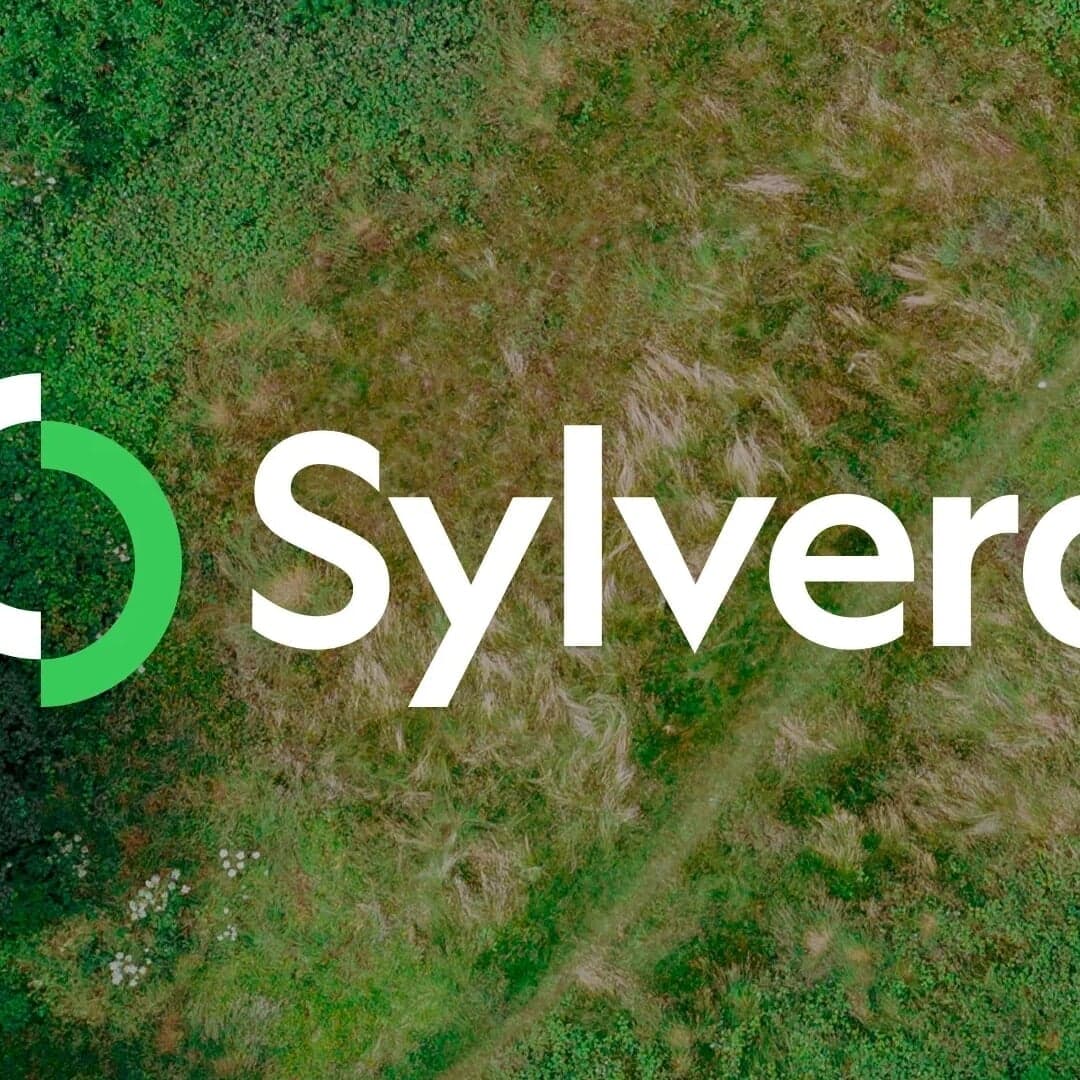 Brand Identity For Carbon Data Platform Sylvera