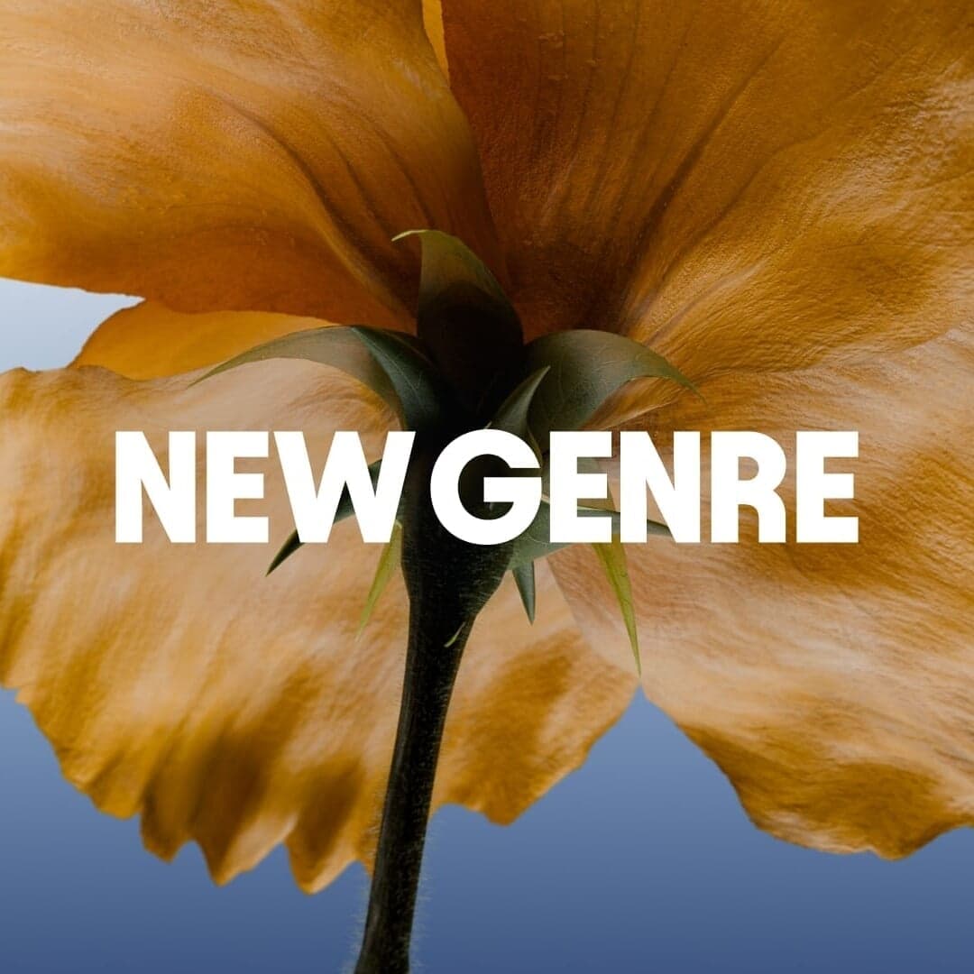 Recruitment Website For New Genre