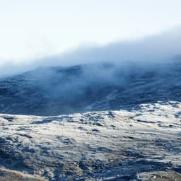 Packaging And Brand Identity For Babylife Skincare cover image