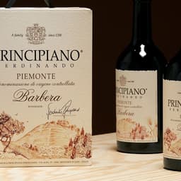 Packaging Design For Ferdinando Principiano Natural Wines cover image