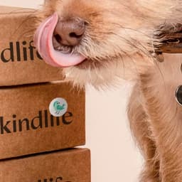 Brand Identity For Kindlife E-commerce Platform cover image