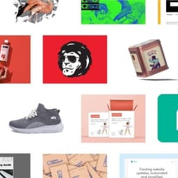 Branding And Packaging For Frolick cover image