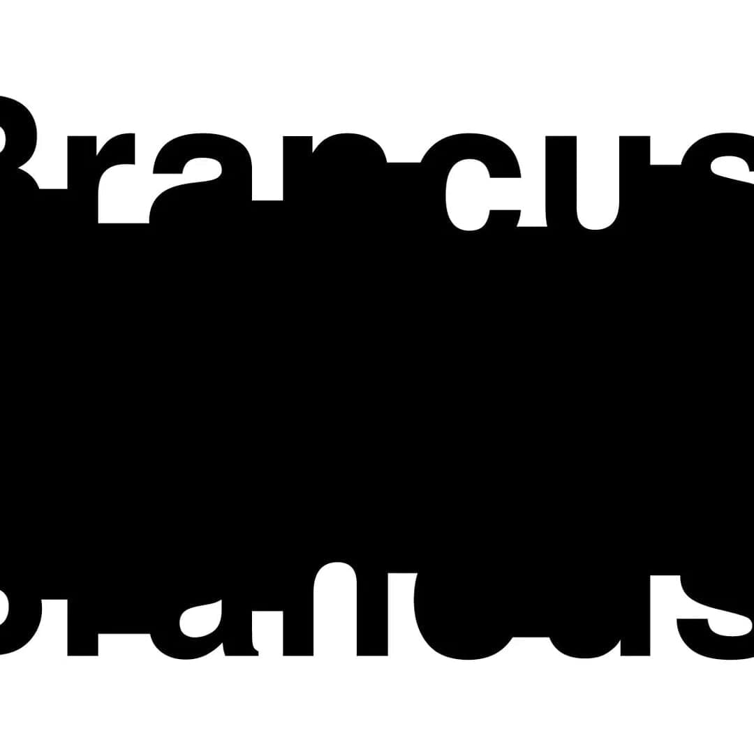 Graphic Identity for Brancusi