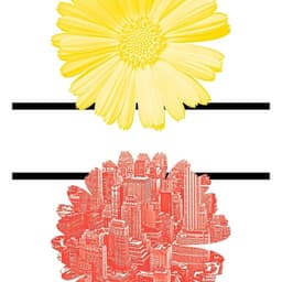 Poster Contribution for Nature and the City cover image