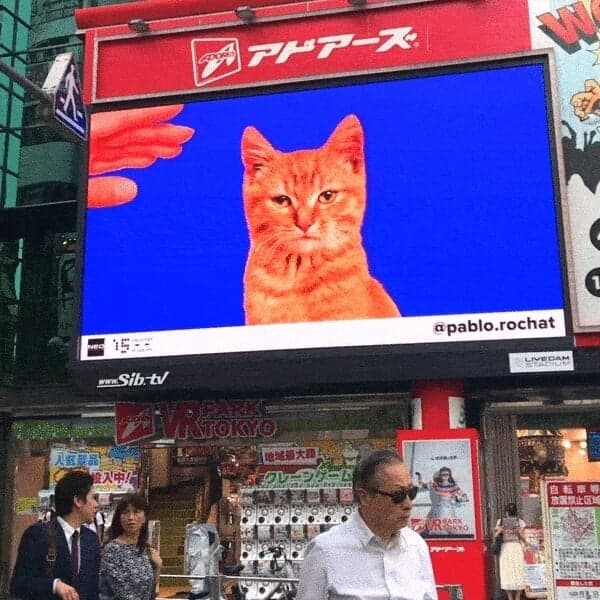Digital Video Installation for Shibuya Crossing