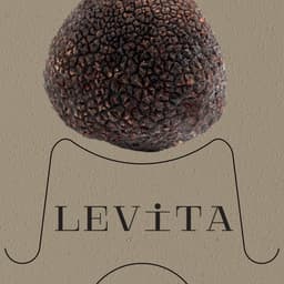 Packaging Concept For A Gourmet Truffle Brand  cover image