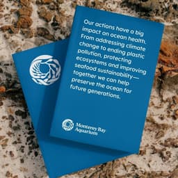 Brand Refresh for Monterey Bay Aquarium cover image