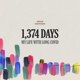 Logo And Custom Typeface For The Film Wonka cover image