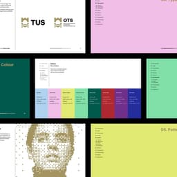 Brand Identity Development For Technological University Of The Shannon cover image