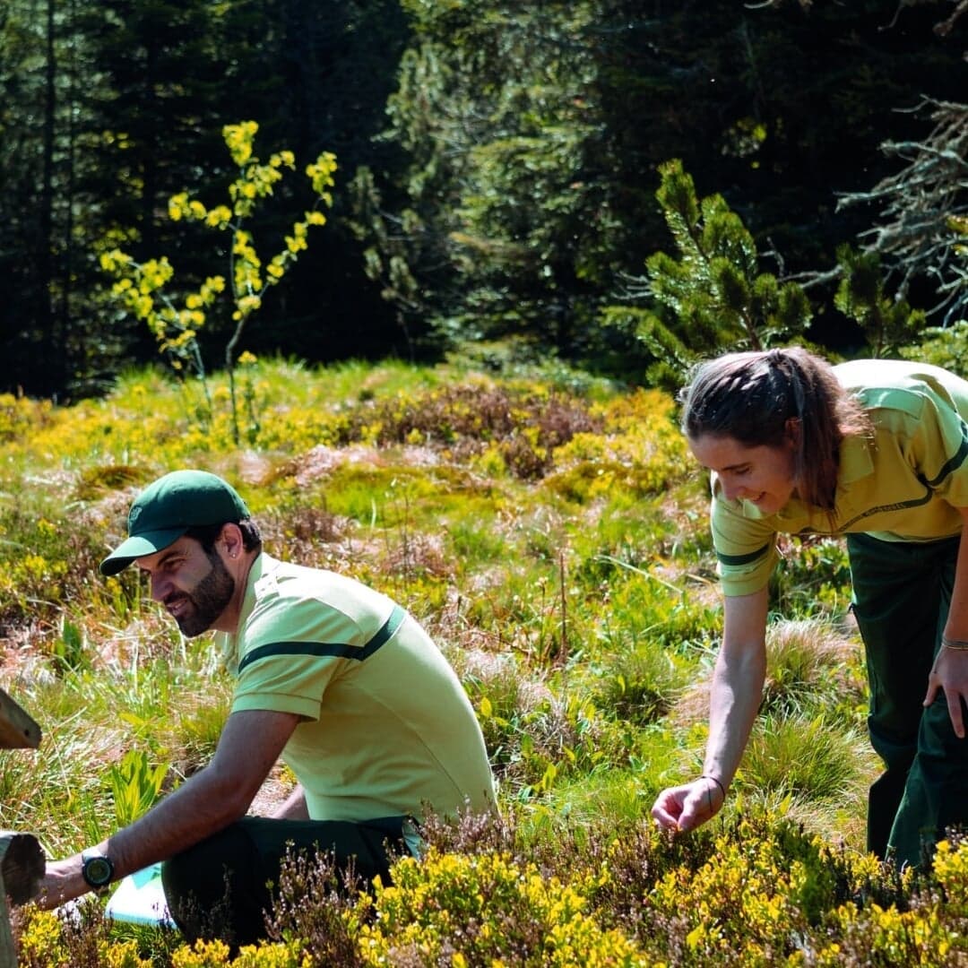 Communications Design For Office National Des Forêts