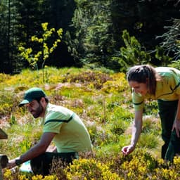 Communications Design For Office National Des Forêts cover image