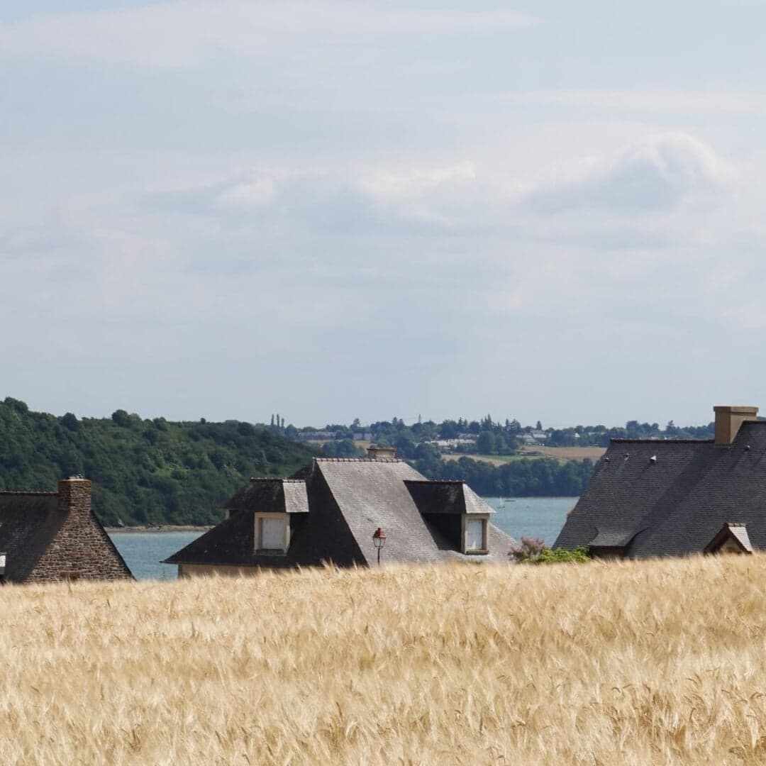 Editorial Identity For Observatoire De L’environnement En Bretagne