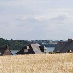 Editorial Identity For Observatoire De L’environnement En Bretagne cover image