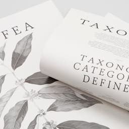 Poster Design For Square One Coffee Taxonomy cover image
