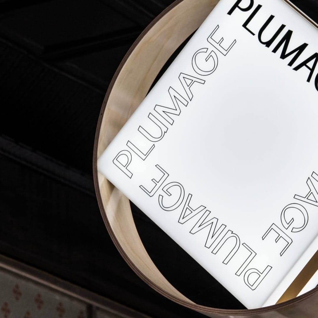 Brand Identity for Plumage Salon
