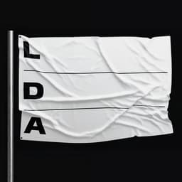 Adaptive Identity For Lithuanian Design Association - thumbnail 1