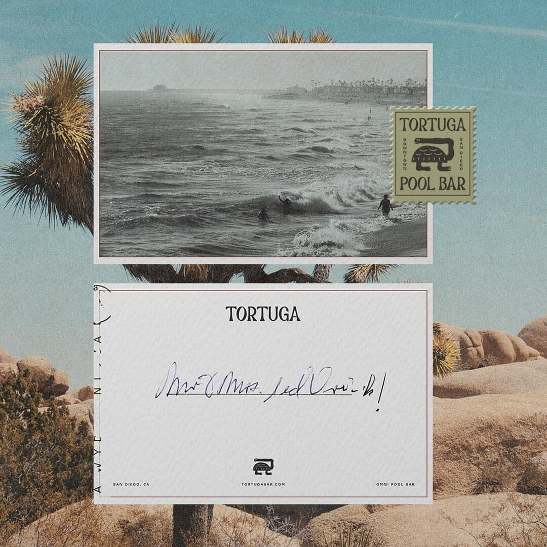 Brand Identity For Tortuga Pool Bar