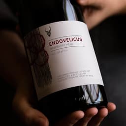 Brand Identity Refresh For Superstition Meadery cover image