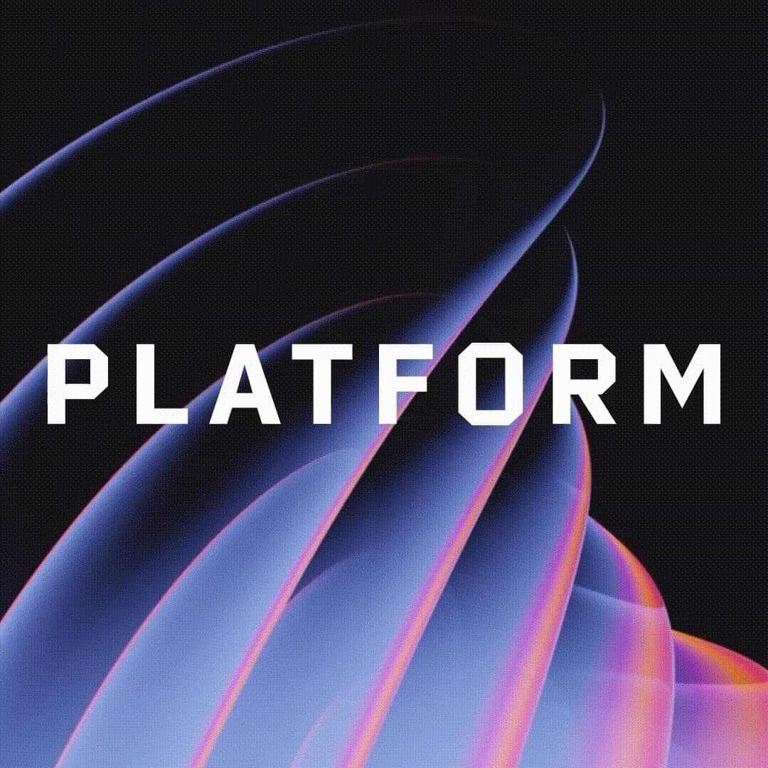 Visual Identity for Platform Digital Agency