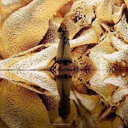 Ai Data Sculpture Installation For Dior J’adore L’or - thumbnail 1