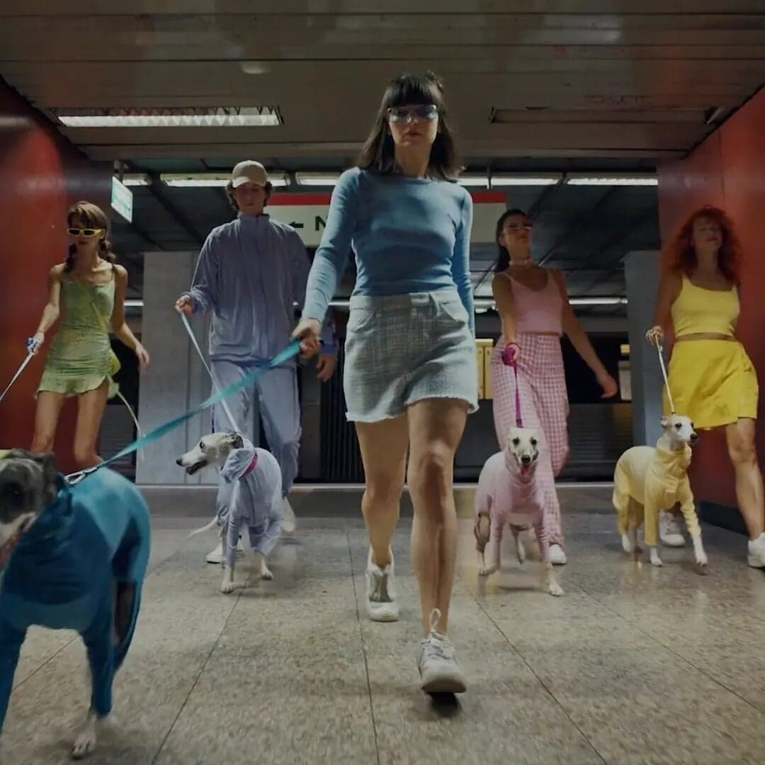 Director Portfolio For Kevin Castanheira