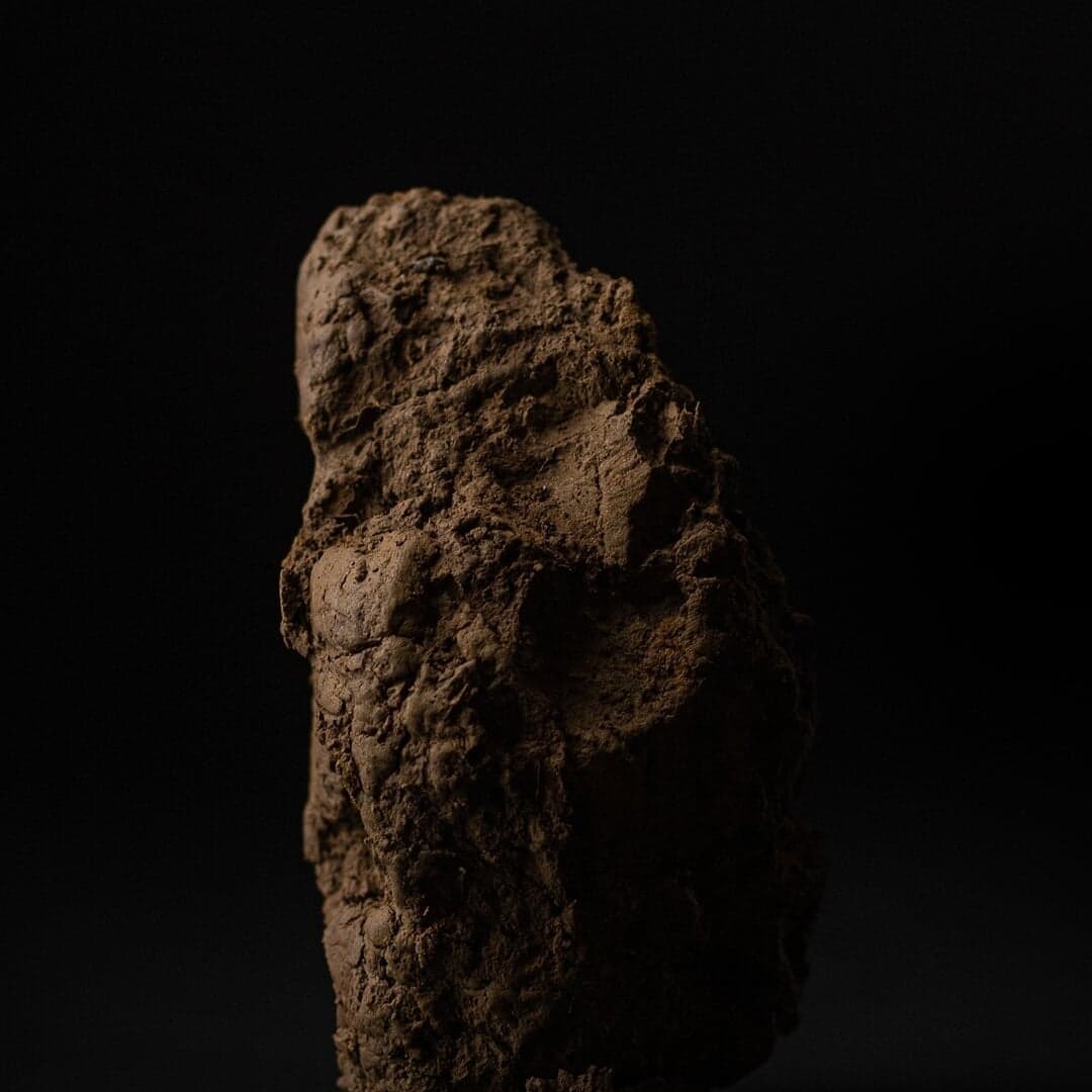 Packaging And Photography For A Natural Orange Wine