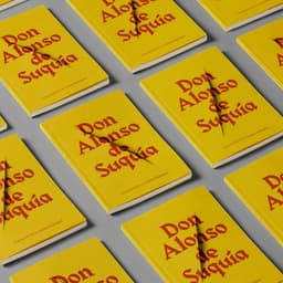 Cover Design For Don Alonso De Suquía Limited Edition cover image